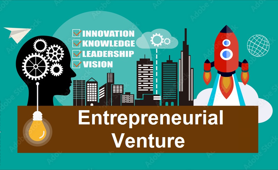 conduct a case study of an entrepreneurial venture