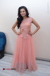 Actress Neha Hinge Stills in Pink Long Dress at Srivalli Teaser Launch  0141.JPG