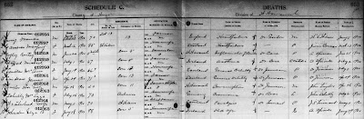 Ancestry.com, "Ontario, Canada, Deaths, 1869-1938 and Deaths Overseas, 1939-1949," database on-line, Ancestry (www.ancestry.com : accessed 21 Jan 2019), entry for Michael Stafford, died 1 Feb 1900; citing Archives of Ontario; Toronto, Ontario, Canada; Collection: MS935; Reel: 97.