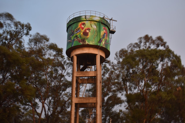 Water Tower Art by Scott Nagy and Krimsone in Milbrulong