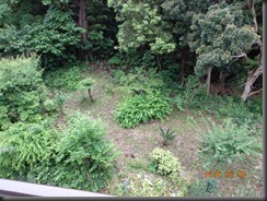 DSC00831