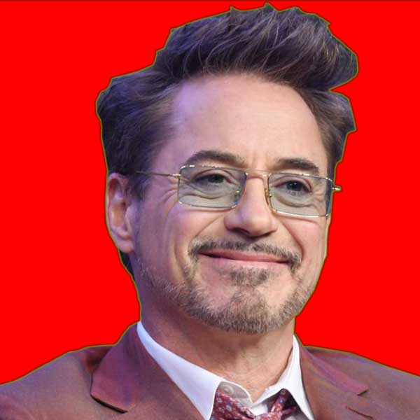 Robert Downey Jr. Hollywood Actor American Actor