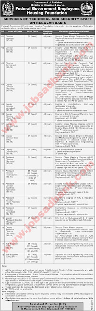 Federal government employees housing foundation jobs 2019