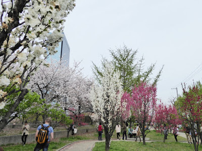 大阪城桃園