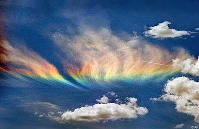 7 Bizarre and Amazing Natural Phenomenon