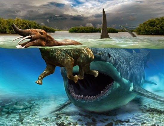 Tubarão maior que um Tiranossauro - Megalodon Img 2