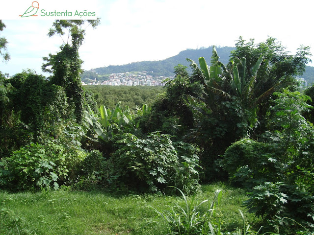 A vista da cidade e do topo das árvores revela a altura do terreno onde estávamos, que na verdade é o extinto lixão