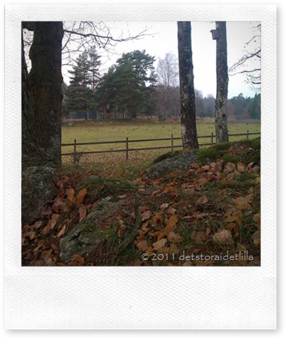 nov 2011