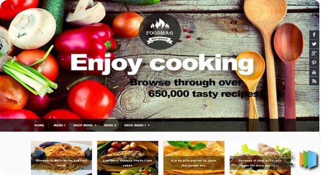Food-Mag-Blogger-Template