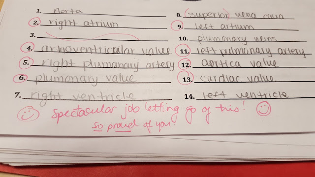 List of heart parts on quiz. Mostly incorrect. Teacher has written 'spectacular job letting go of this! So proud of you!'