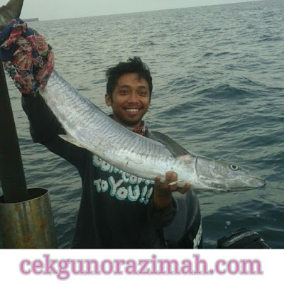 3 resepi masakan ikan tenggiri ~ CikguNorazimah