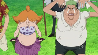 ワンピースアニメ 魚人島編 523話 偽ゾロ 偽ナミ | ONE PIECE Episode 523