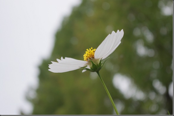 s201101103IMGP1705
