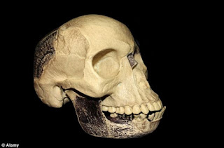 Unmasked The truth behind Piltdown Man fraud to be revealed 100 years after it fooled the world.