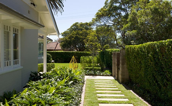 Merancang Jalan  Setapak Taman  Modern Rumah Minimalis  