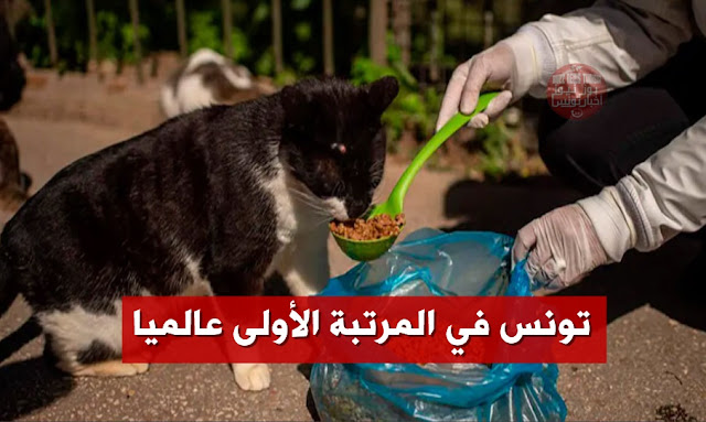 تونس-تتوّج-بالجائزة-الأولى-عالميا-في-مجال-الرفق-بالحيوان-فيديو