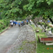 View album