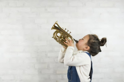 Trumpet Lessons — The Certified Mystery to Trumpet Achievement | Section 1