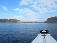 labuanbajo komodo rinca indonesia