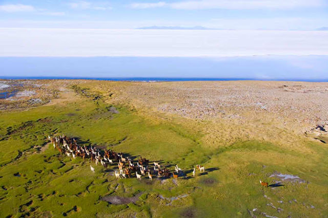 The Aerial Art of George Steinmetz