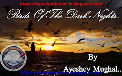 Birds Of The Dark Nights novel online reading by Ayeshey Mughal Complete