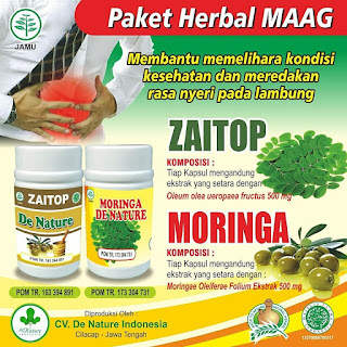  obat maag/asam lambung zaitop moringa