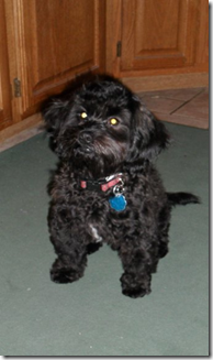 tux