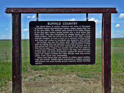 Bison-county