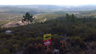 Carrera Montaña The Hills Trail