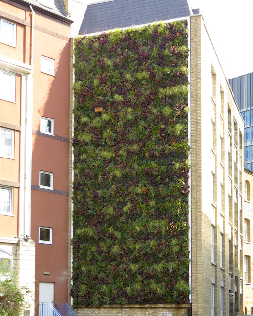 Green wall, Holiday Inn Express Southwark, Southwark Street, Southwark, London