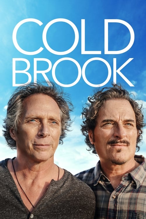 [HD] Cold Brook 2019 Ver Online Subtitulada