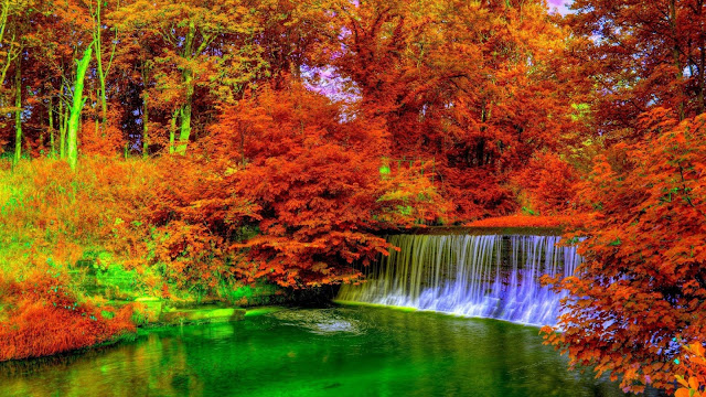 Waterval in het bos in de herfst