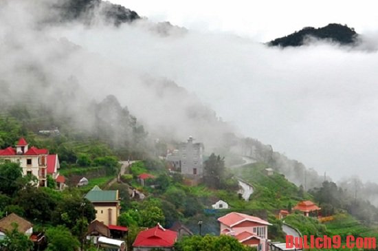  Những thông tin chi tiết về kinh nghiệm du lịch Tam Đảo