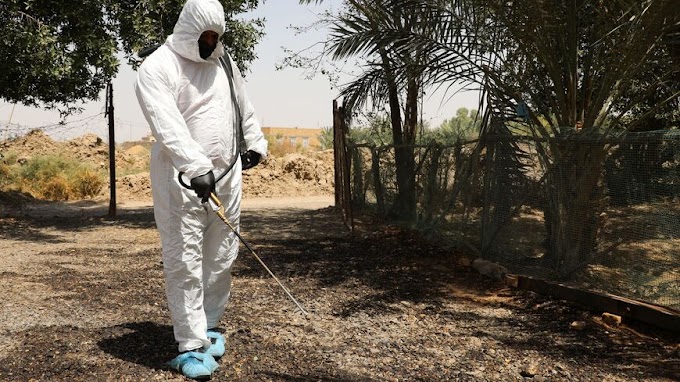 Autoridades de saúde iraquianas lutam para conter novo surto de febre hemorrágica viral 