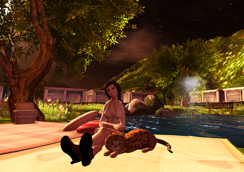 Snapshot_011 Snapshot_011