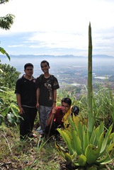 bergambar dengan pokok esotik