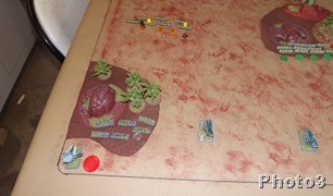 DSCF7573