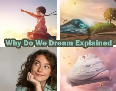 Why Do We Dream Explained