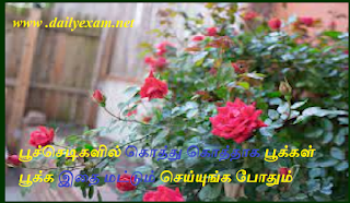 Poo Sedigalil Pookal Athigam Pooka Tips in Tamil