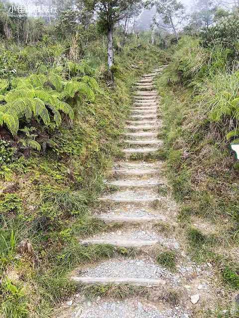 宜蘭太平山翠峰湖環山步道路況