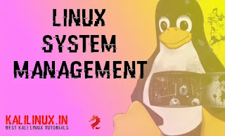 kali linux system management