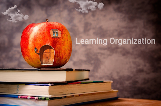 What is Learning Organization ?