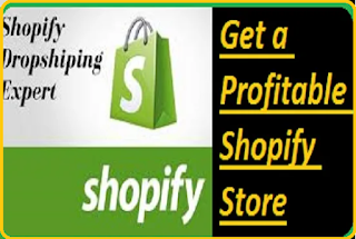 I will create a profitable shopify store for dropshiping