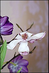 blog 6