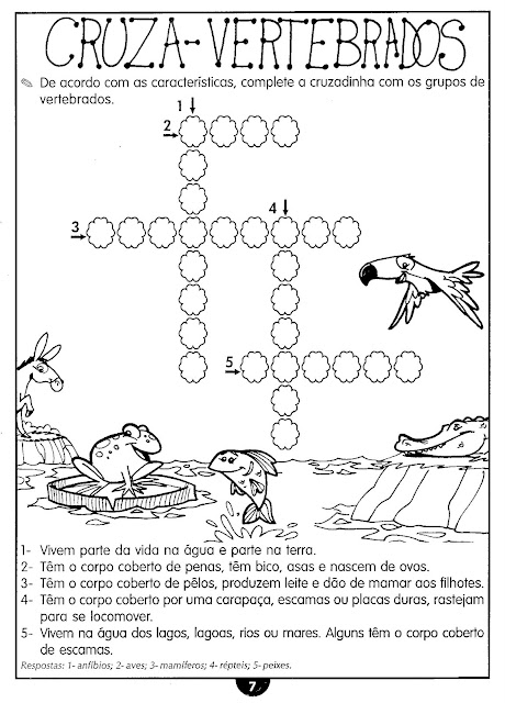 Atividades animais vertebrados e invertebrados ensino fundamental