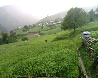 Sallkhala -  Neelum Valley AJK