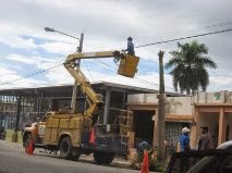 Brigadas de EDESUR  abusan del entorno ambiental.