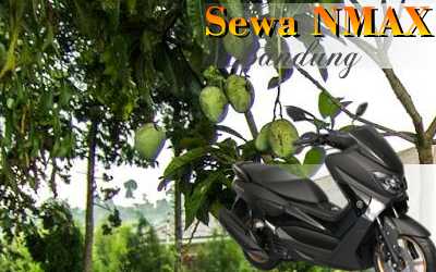 Sewa sepeda motor N-Max Jl. PSM Dalam Bandung