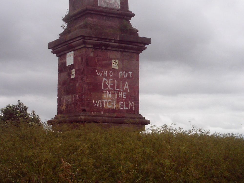 bella-wych-elm-2