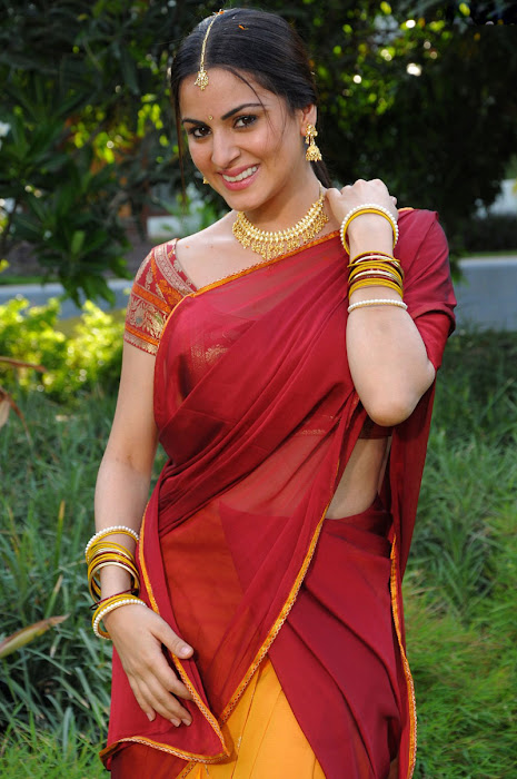 shraddha arya in half saree